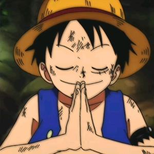 海贼收藏王 头像