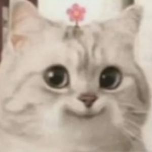 拿铁不要半糖 头像