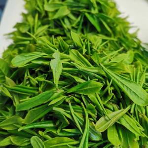 天天聊茶喝茶 头像