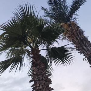 小杭有话说