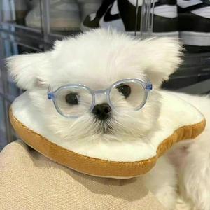 大风哗啦啦 头像