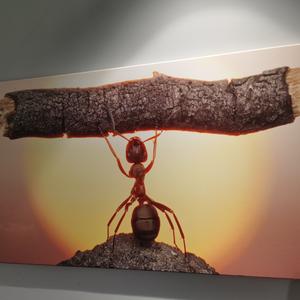 平凡的世界 头像