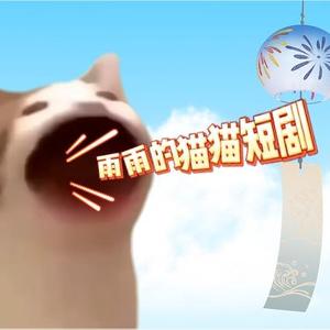 雨雨的猫猫剧场头像