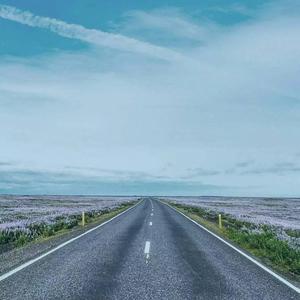 勿忘83758梦里寻TA 头像