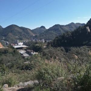 择一城远行969 头像