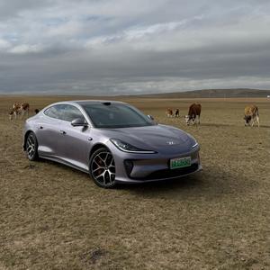 电车老杨® 头像