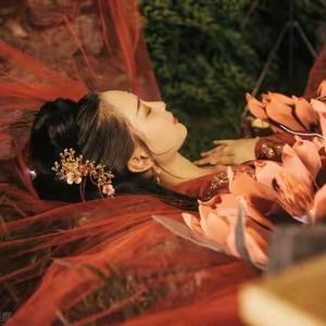 疼哭了的故事屋 头像