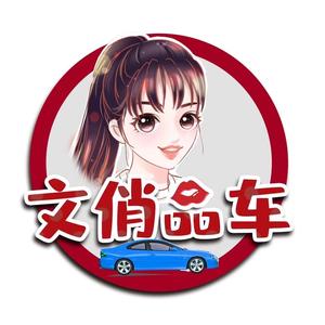 文俏品车头像