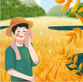 小东看三农 头像