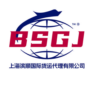 滨顺集运国际物流 头像