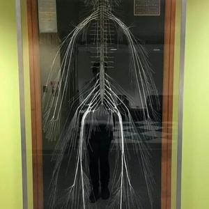 刘老师的理化课堂 头像