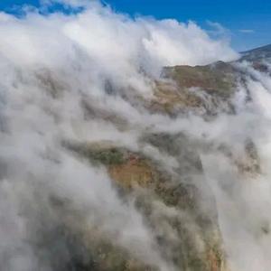 弦断有谁听 头像