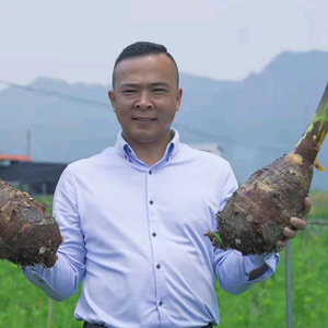 华皓荔浦芋头像