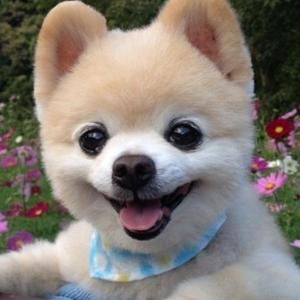 村里第一人 头像