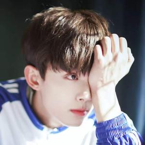 小熊的分享会 头像