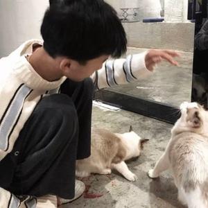 涛少文案馆 头像