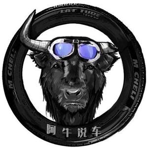 阿牛说车 头像