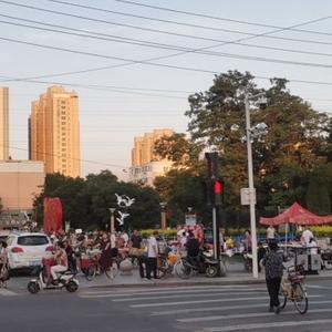 一根沙葱在西北