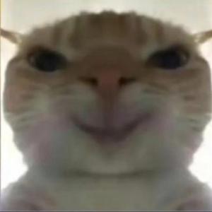 创意枫叶4I3T 头像