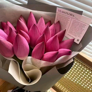 Oo微雨朵朵oO 头像