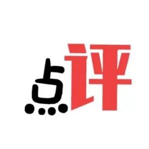 点评分析