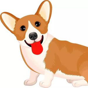 汪星人测评 头像