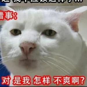 Sit紫Wa头像