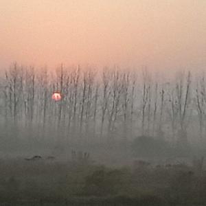 38度夕阳红 头像