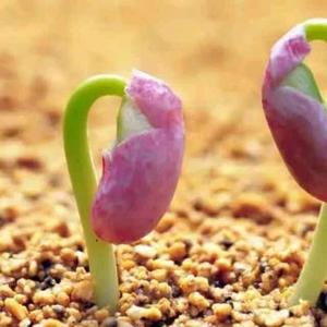 朗朗乾坤爱生活 头像