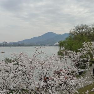 消逝的古城-陕西渭南的下邽故城及其变迁 - 今日头条