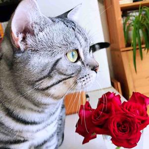 饼妈是坐家 头像