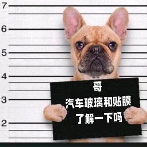 江湖最后一个浪子 头像