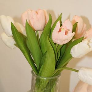 人人在养生 头像