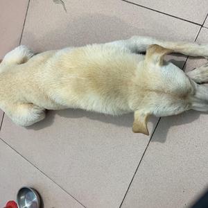 吃遍美食八 头像