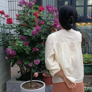 岁月里的家长里短 头像