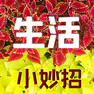 生活小助手 头像
