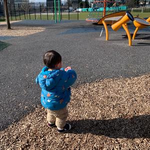 小样在加拿大 头像