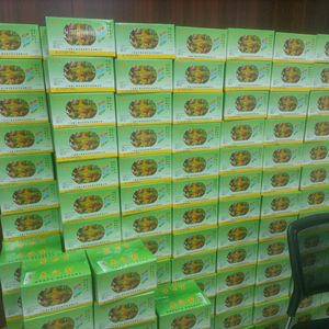 物之春.蜂鸟 头像