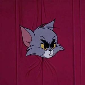 岚萧游戏日志 头像