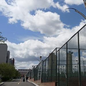 不凡的富贵猫 头像