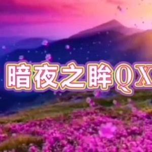 暗夜之眸QXJ头像