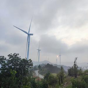 围不住的荷花212 头像