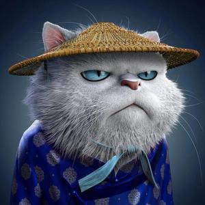 叫我猫叔儿 头像