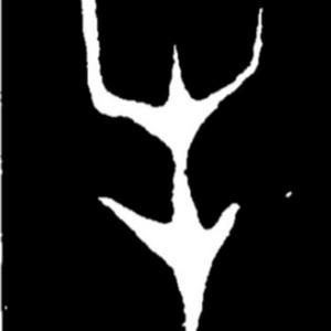 老牛退休自驾穷游中国 头像