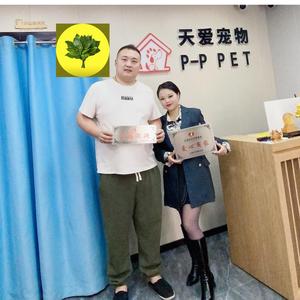 盼盼的铲屎官 头像