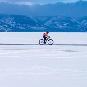 腊梅盛开冰天雪地头像