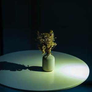 评测师一嗅 头像