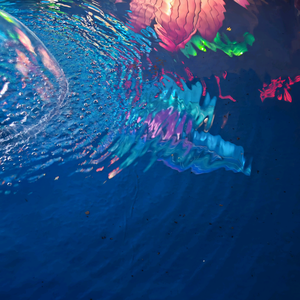 请多放糖r 头像