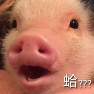 哼猪剪辑 头像