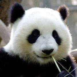 史海拾贝者